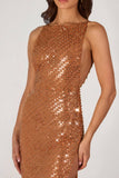 Embellished Maxi Dress in Bronze