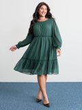 Chiffon Textured Shirred Ruffled Mini Dress