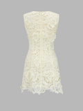 Guipure Lace Sleeveless A-Line Dress