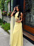 Sheer Drape Slim Maxi Evening Dress