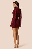 Mystique Long Sleeve Mini Dress in Wine