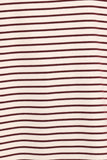 Wilda Oversized Tee - Cream Tan Stripe