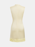 Lace Trim Satin Sleeveless Mini Dress