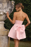 Abbey Mini Dress - Blush